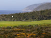 Westcliffs Golf Portugal Lissabon Green Zee 2
