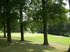 Winge Golf Golfbaan Belgie Vlaanderen Green Doorkijk.JPG