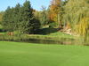 Winge Golf Golfbaan Belgie Vlaanderen Green Par3.JPG