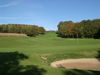 Winge Golf Golfbaan Belgie Vlaanderen Hole 17 Green.JPG