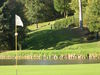 Winge Golf Golfbaan Belgie Vlaanderen Hole 4 Green.JPG