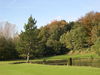 Winge Golf Golfbaan Belgie Vlaanderen Hole5 Green.JPG