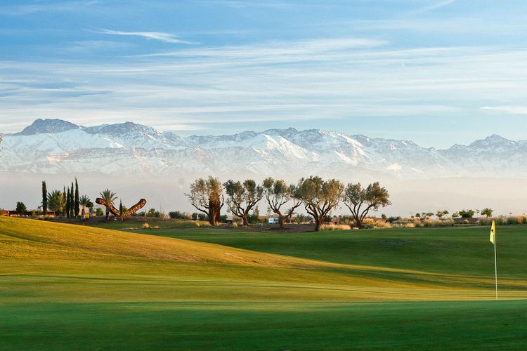 Winterzon golfvakantie: Marokko of Egypte?