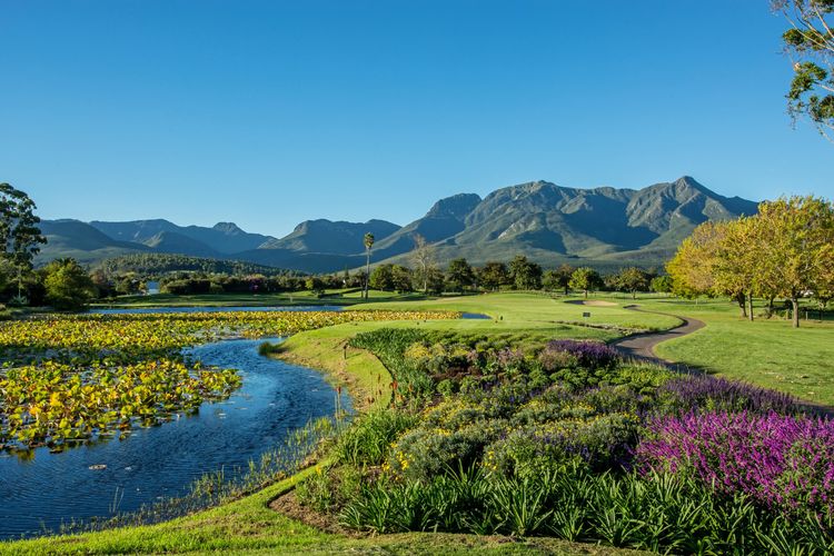 Golfreis Zuid-Afrika met safari: het verhaal van onze klant